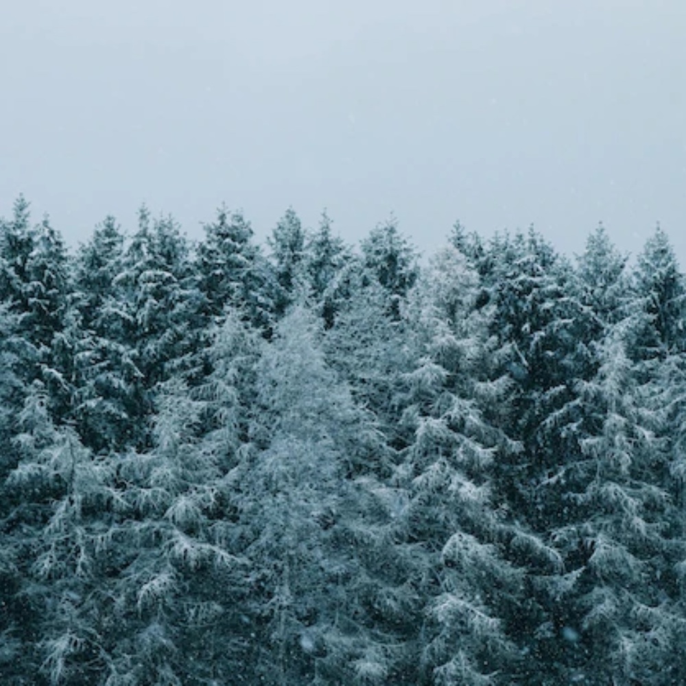 Meet your Posher, Ell